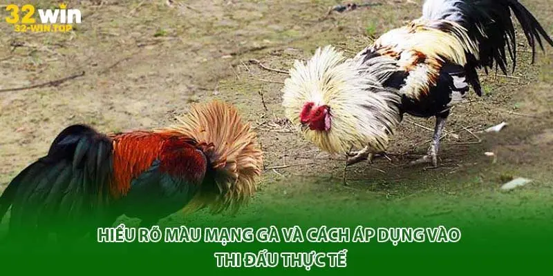 màu mang gà